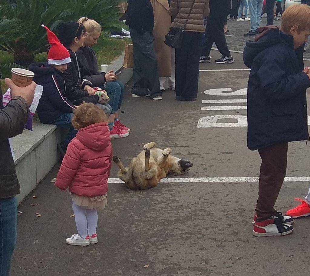 TEdrJIPqKnDrrN_kMW7H.jpg