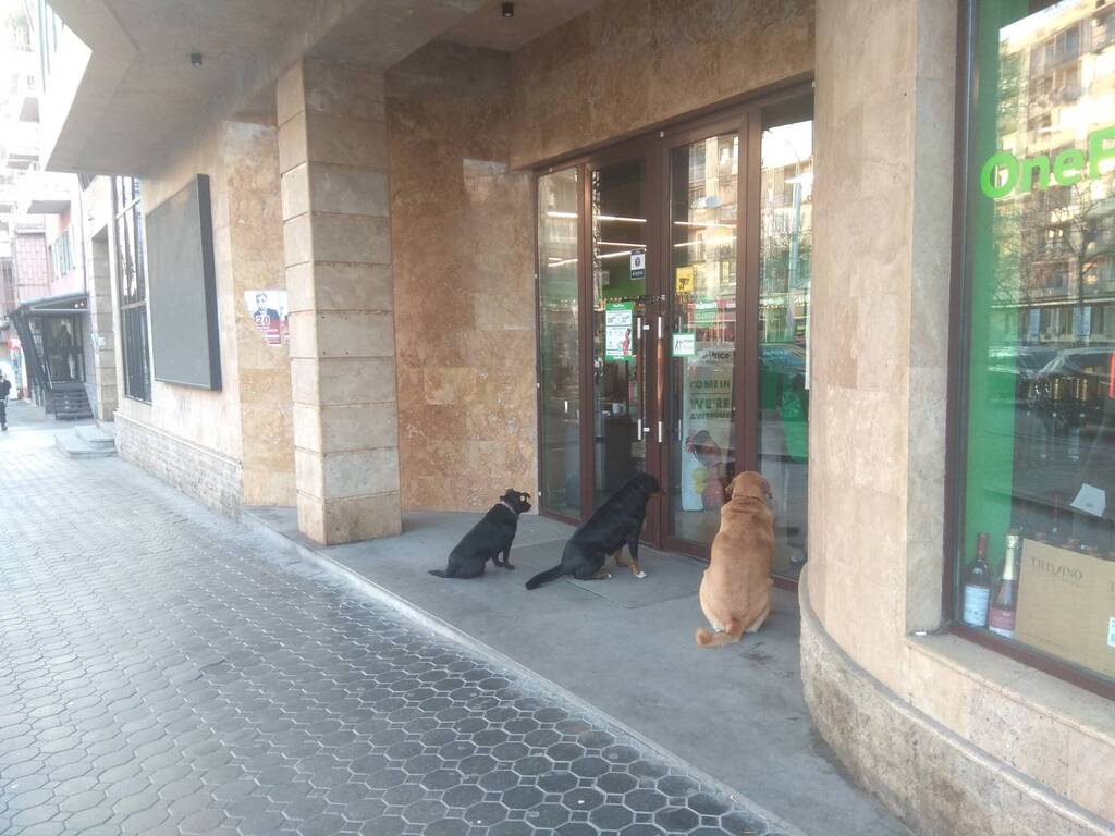 yWWZlp8iweS83nQJSmE9.jpg